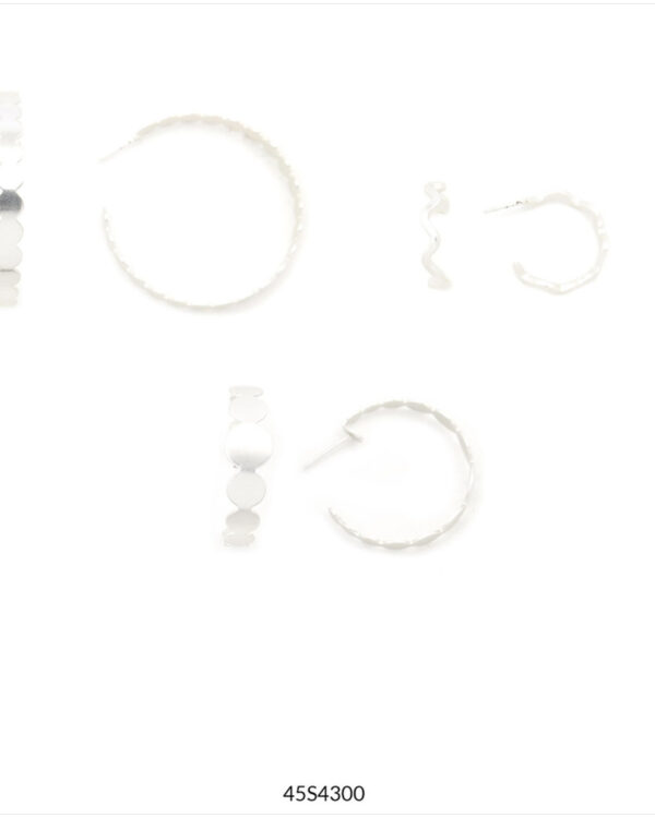 PENDIENTES FANNY I plateados